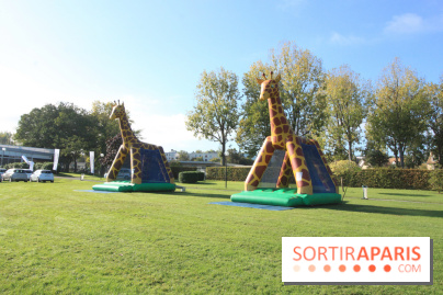 Ventes de voitures d'occasion à 'lhippodrome de St Cloud