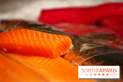 La Maison Nordique x Marin Montagut