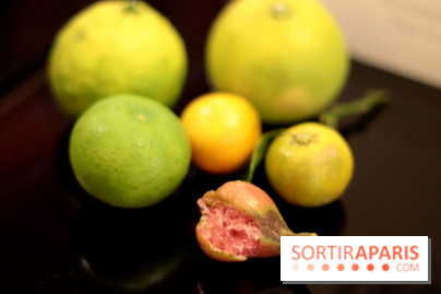 Le Limon : le nouveau resto de Juan Arbealez, les photos