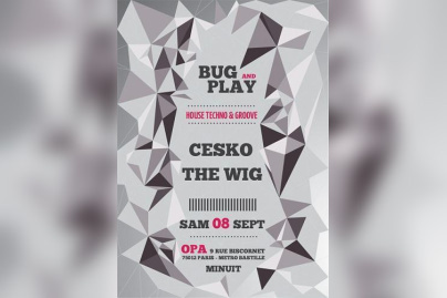 Bug And Play avec Cesko et The Wig