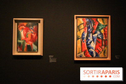 Exposition DADA au Musée de l'Orangerie