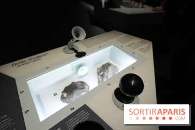 Exposition Météorites au Muséum national d'Histoire naturelle, les photos