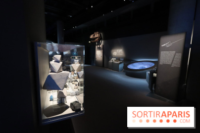 Exposition Météorites au Muséum national d'Histoire naturelle, les photos