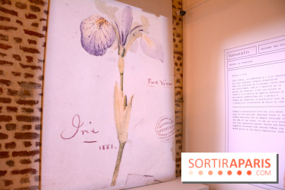 Le Pop Up Store Tiffany & Co