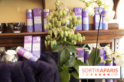 Noël 2017 chez Mariage Frères