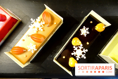 Bûches de Noël 2017 by Vincent Guerlais