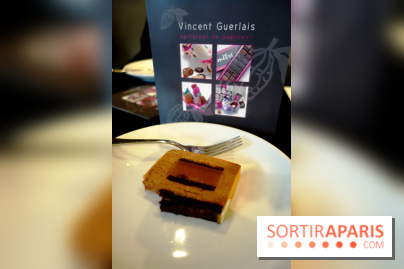 Bûches de Noël 2017 by Vincent Guerlais