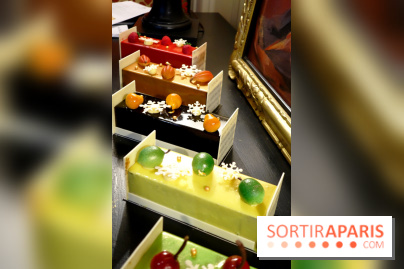 Bûches de Noël 2017 by Vincent Guerlais