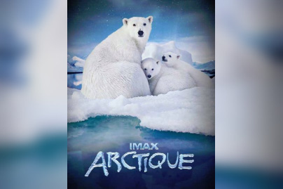 arctique