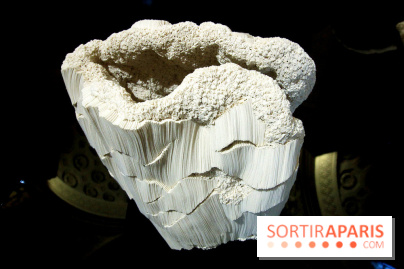 Un monde de plis à la chapelle Expiatoire