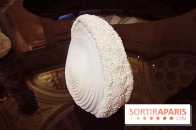 Un monde de plis à la chapelle Expiatoire