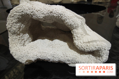 Un monde de plis à la chapelle Expiatoire