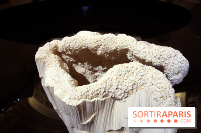 Un monde de plis à la chapelle Expiatoire