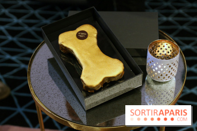 Zôr, l'Os de Noël de Le Roch Hôtel & SPA