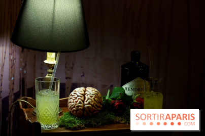 Chambers of the Curious, édition 2017, à l'Hôtel Particulier Montmartre