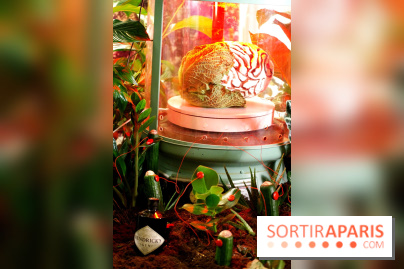 Chambers of the Curious, édition 2017, à l'Hôtel Particulier Montmartre