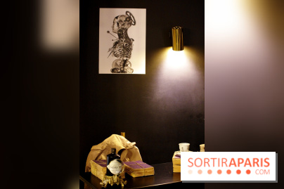 Chambers of the Curious, édition 2017, à l'Hôtel Particulier Montmartre