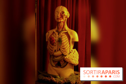 Chambers of the Curious, édition 2017, à l'Hôtel Particulier Montmartre