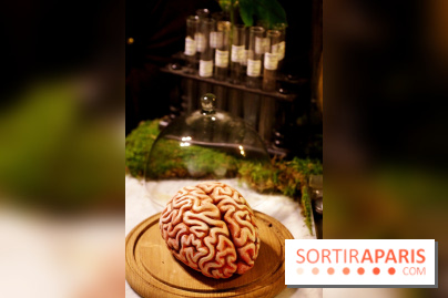 Chambers of the Curious, édition 2017, à l'Hôtel Particulier Montmartre