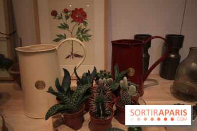 Le pop-up Store de Bergamotte