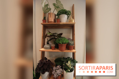 Le pop-up Store de Bergamotte