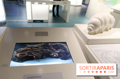 Froid à la Cité des Sciences