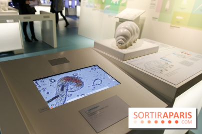 Froid à la Cité des Sciences