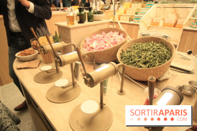 Le 86Champs, le nouveau salon de thé de Pierre Hermé