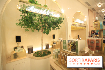 Le 86Champs, le nouveau salon de thé de Pierre Hermé