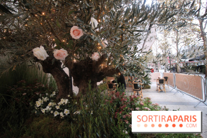 Le 86Champs, le nouveau salon de thé de Pierre Hermé