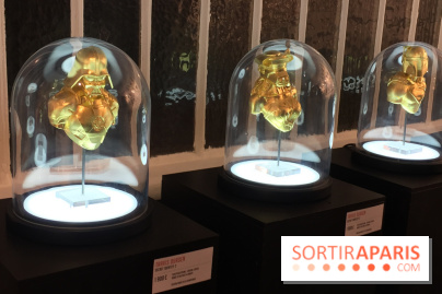 Star Wars : L'expo contre-attaque II à la galerie Sakura