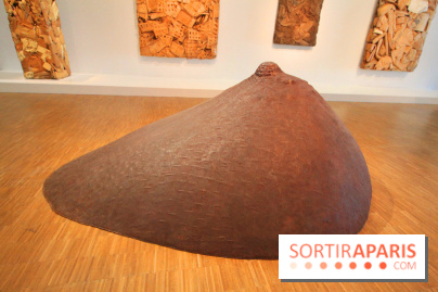 César, l'exposition au Centre Pompidou