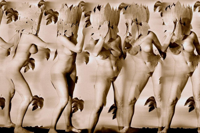 Exposition François Delebecque