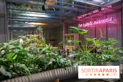 Patate, l'expo à la Cité des Sciences