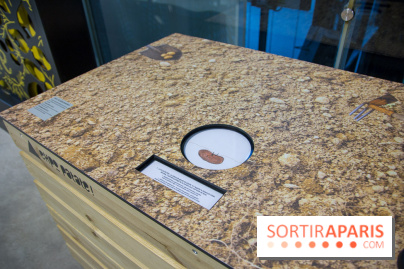 Patate, l'expo à la Cité des Sciences