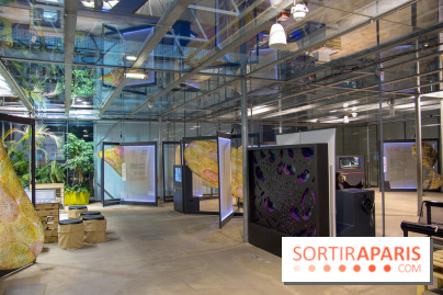 Patate, l'expo à la Cité des Sciences