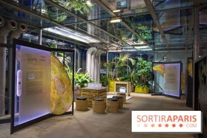 Patate, l'expo à la Cité des Sciences