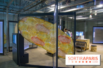 Patate, l'expo à la Cité des Sciences