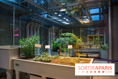 Patate, l'expo à la Cité des Sciences