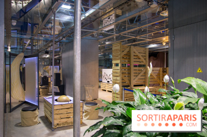 Patate, l'expo à la Cité des Sciences