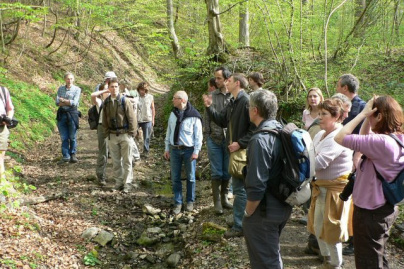 Balades ou randonnées pédestre