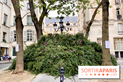 Paris : une première "forêt urbaine" va voir le jour à Montparnasse avant 2024