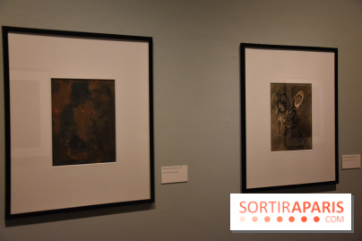 Nino Migliori, l'exposition à la MEP