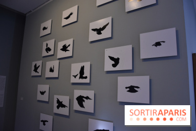 Nino Migliori, l'exposition à la MEP