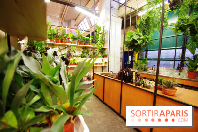 Ground Control ouvre les portes de la Halle Charolais à Paris