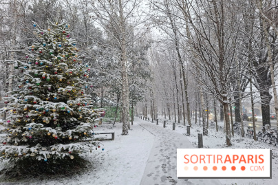 La Neige à Paris - IMG 20260105 181957