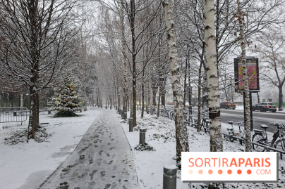 La Neige à Paris - IMG 20260105 182000