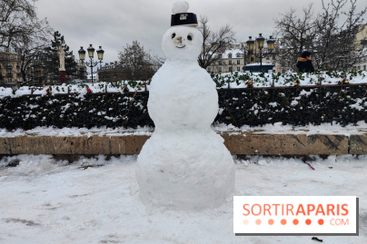 La Neige à Paris - fotor 1767798970463