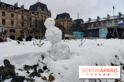 La Neige à Paris - fotor 1767798927974