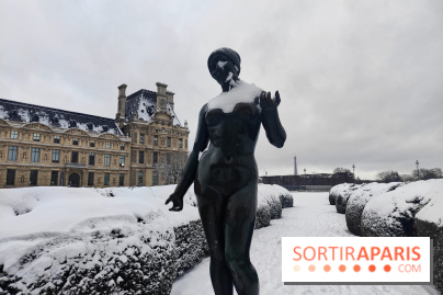 La Neige à Paris - Jardin des Tuileries